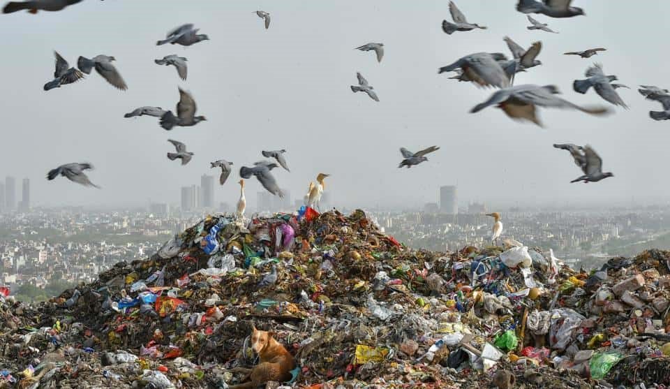 Fill in avalanche tornado pollution endangered. Свалка Deonar, Мумбаи, Индия. Landfill site. Landfill Aerial. City landfill.